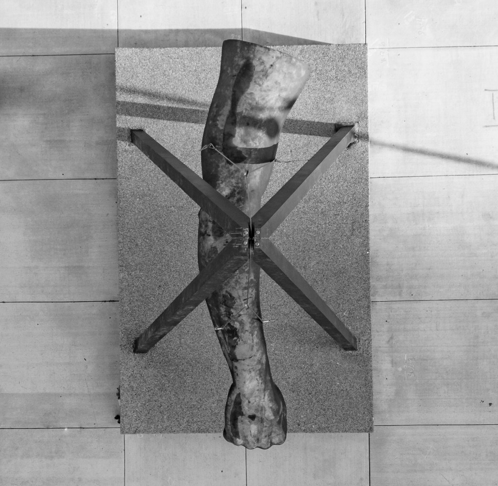 Photo by: Brian Sevald